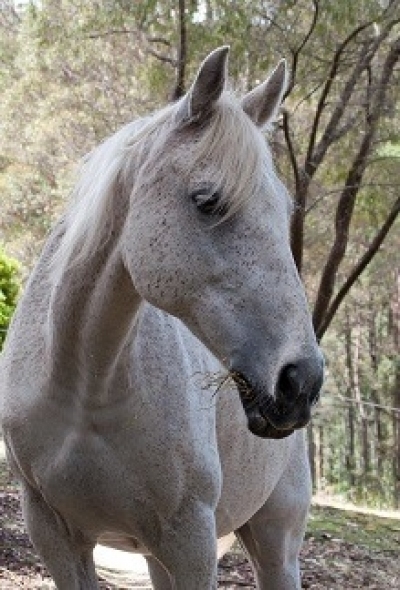 gallery/tommy 2013 - lorrell w